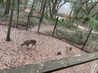 educational experience