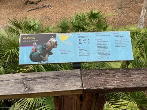 educational experience