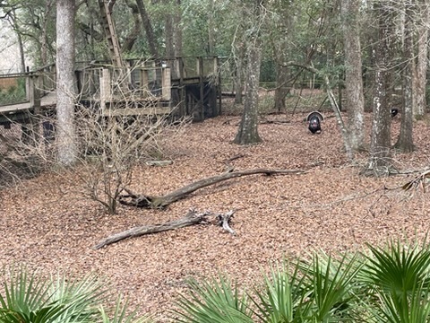 educational experience