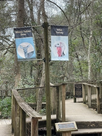 educational experience