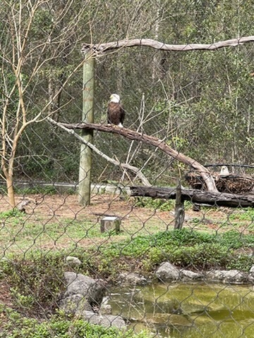 educational experience