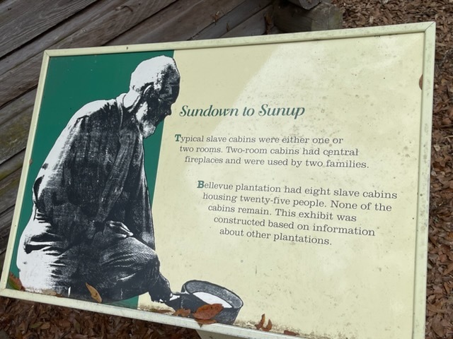 educational experience