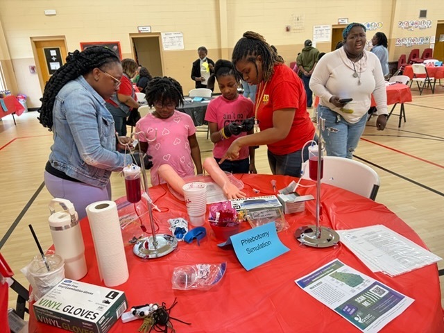 STEM Night