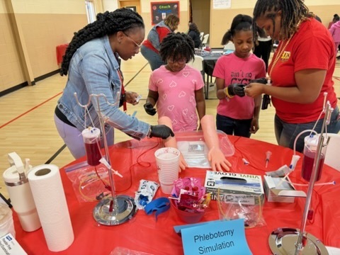 STEM Night