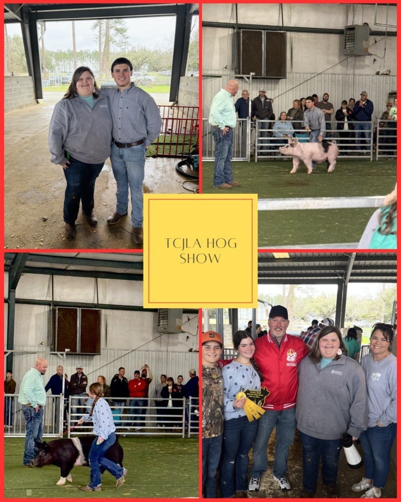 TCS Livestock Show Winners 6