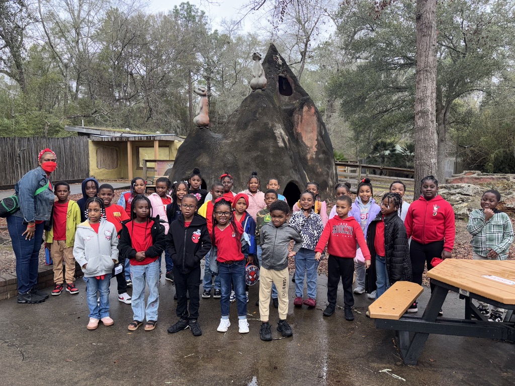 educational experience