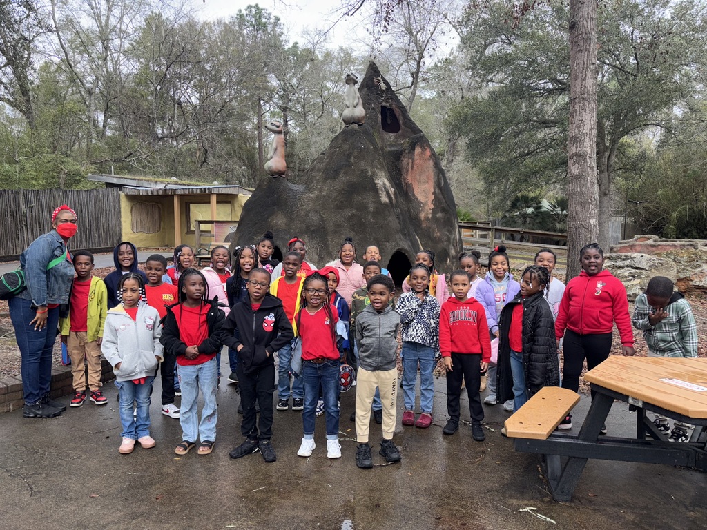 educational experience