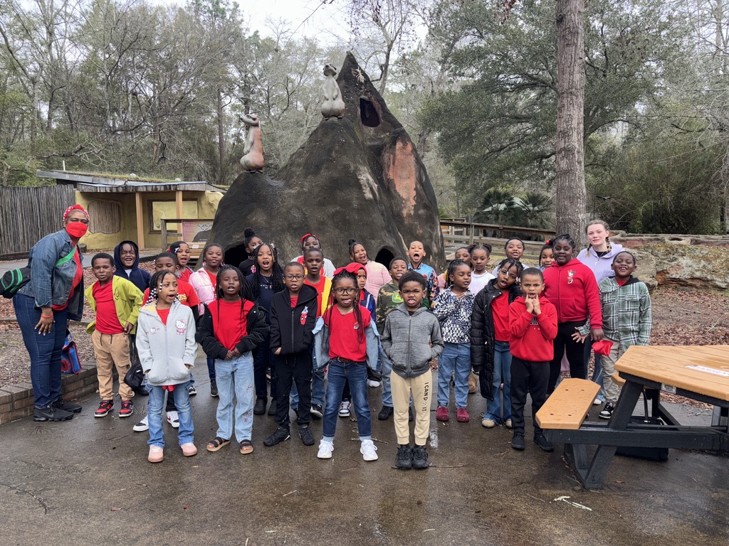 educational experience