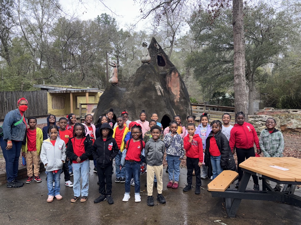 educational experience