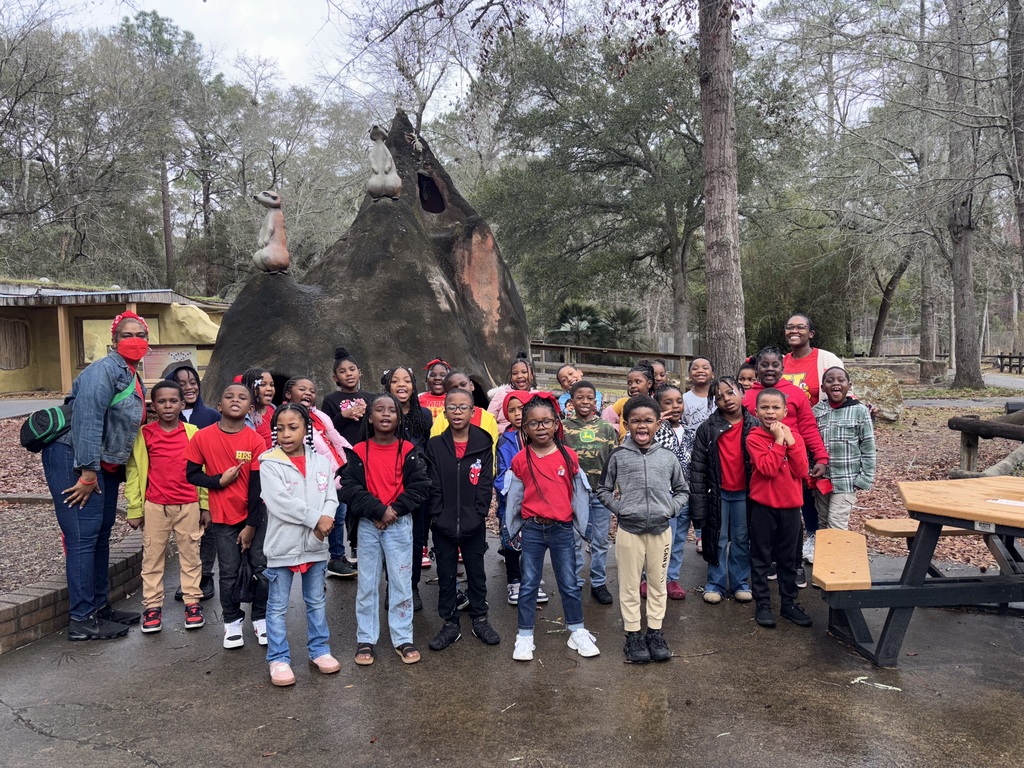 educational experience