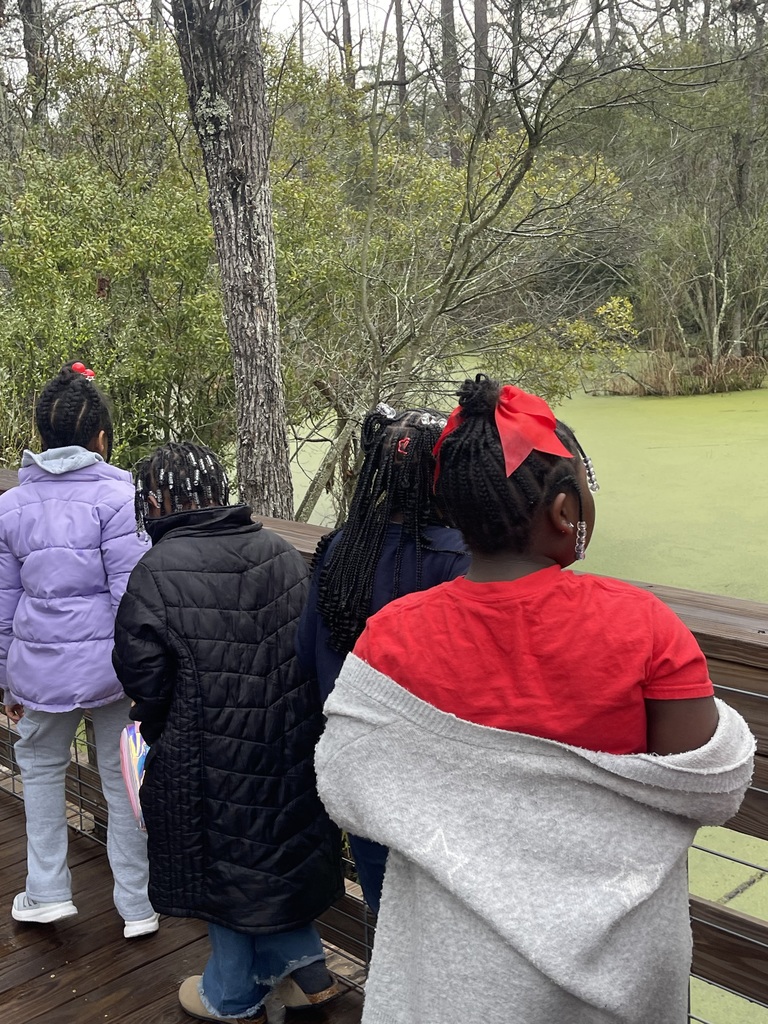 educational experience