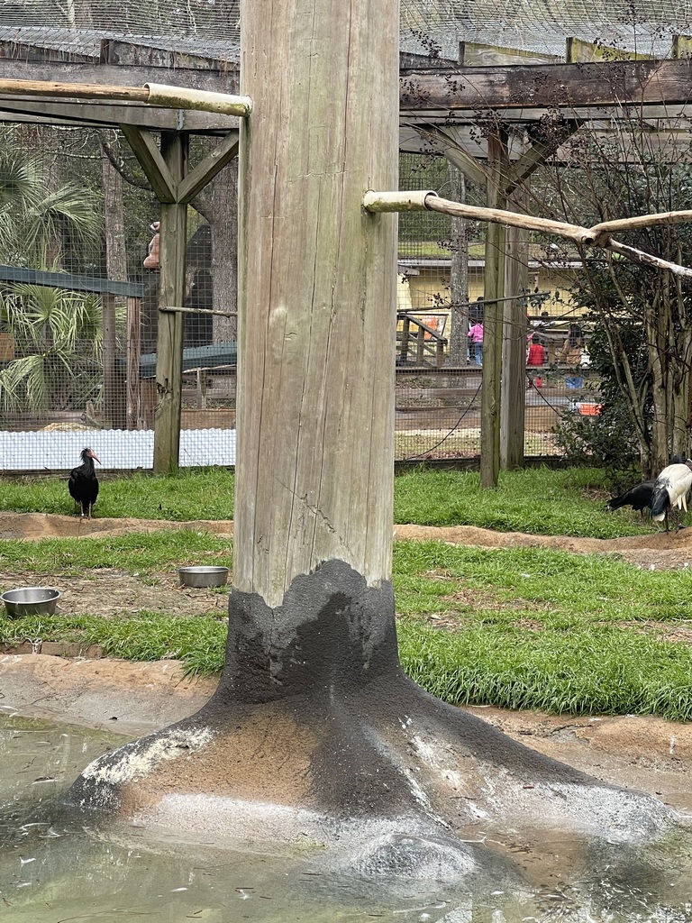 educational experience