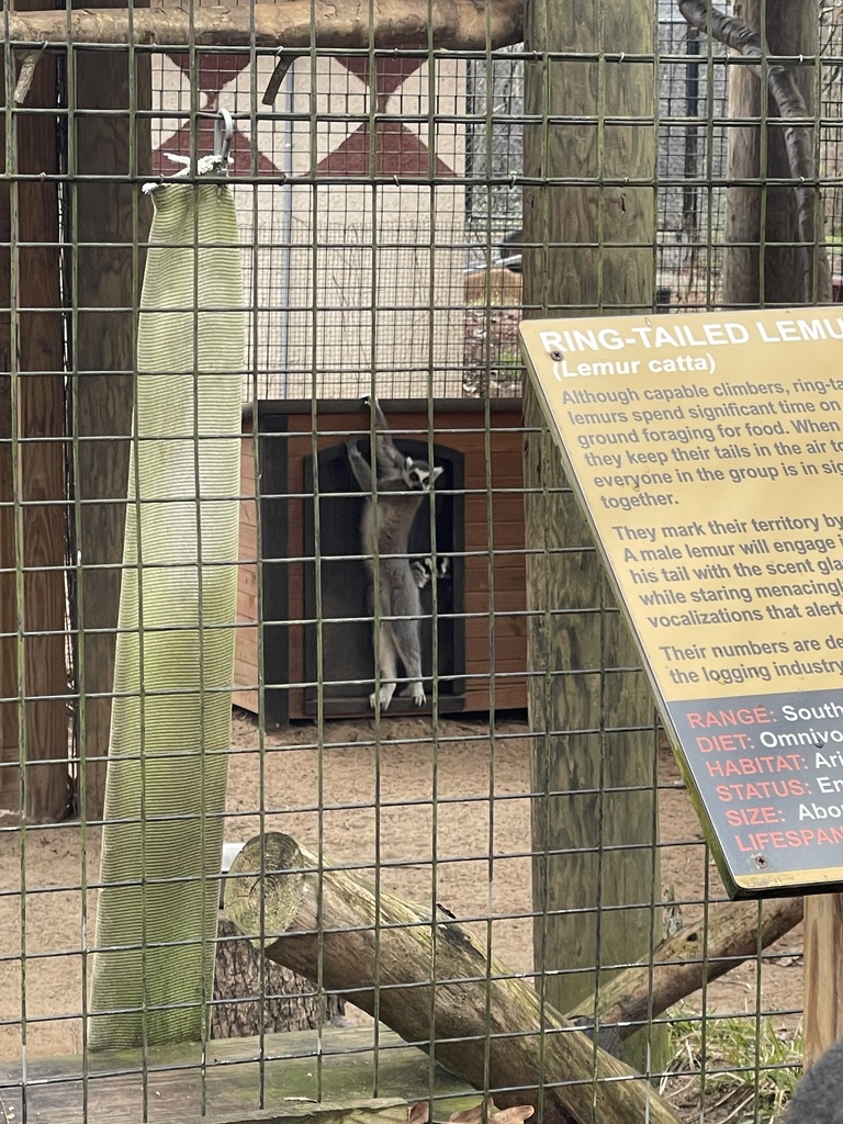 educational experience