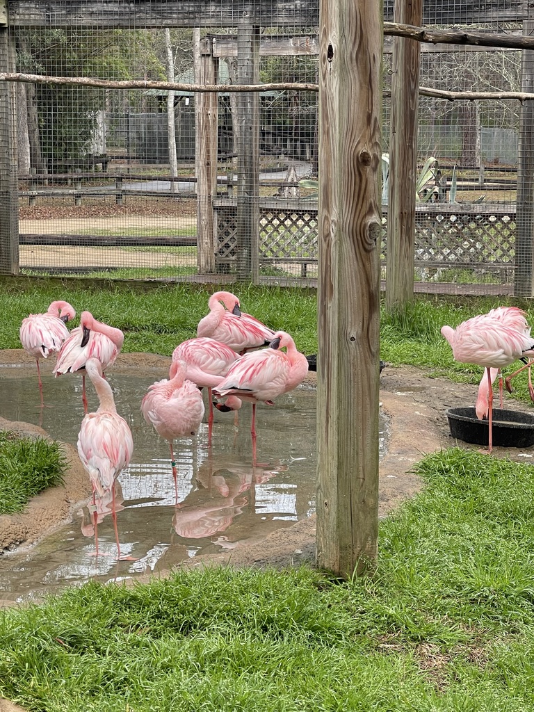 educational experience