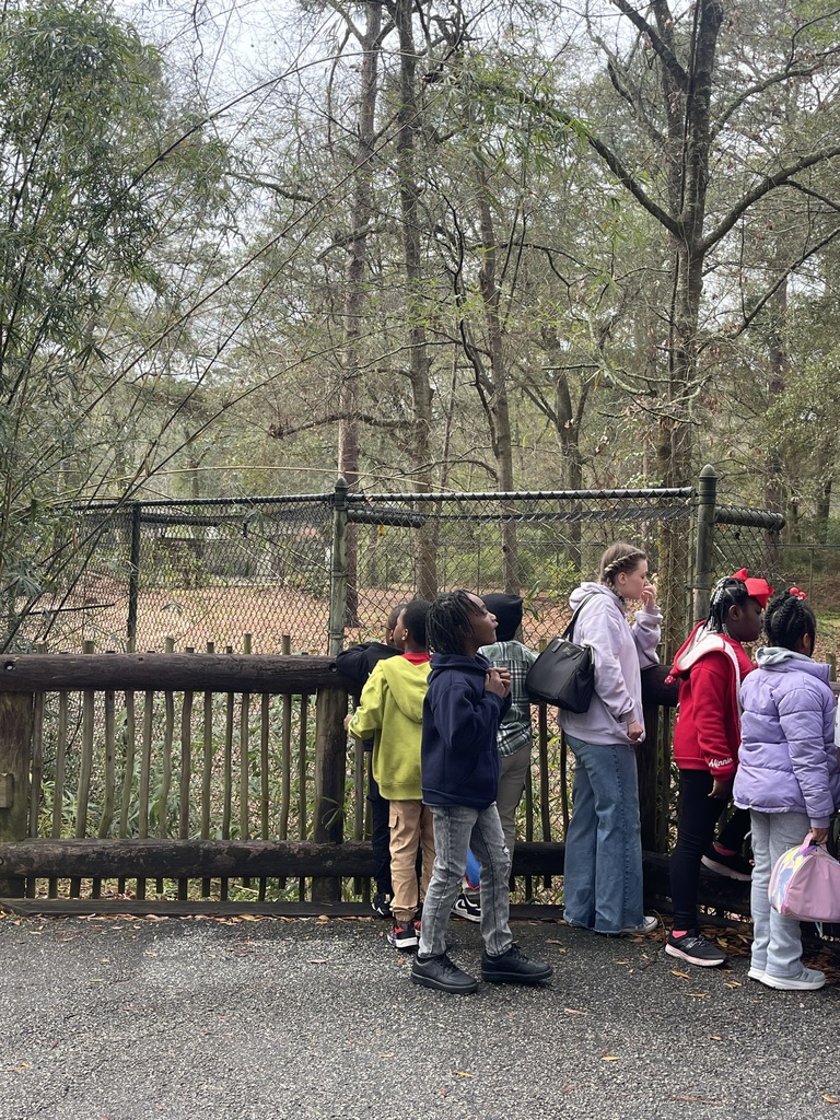 educational experience