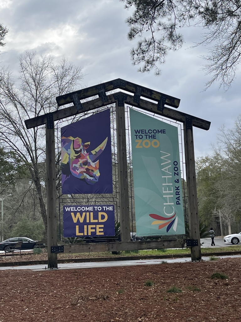 educational experience