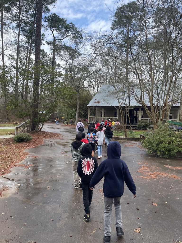 educational experience