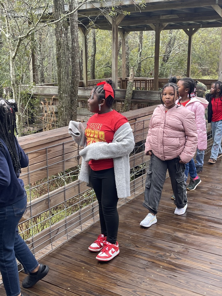 educational experience