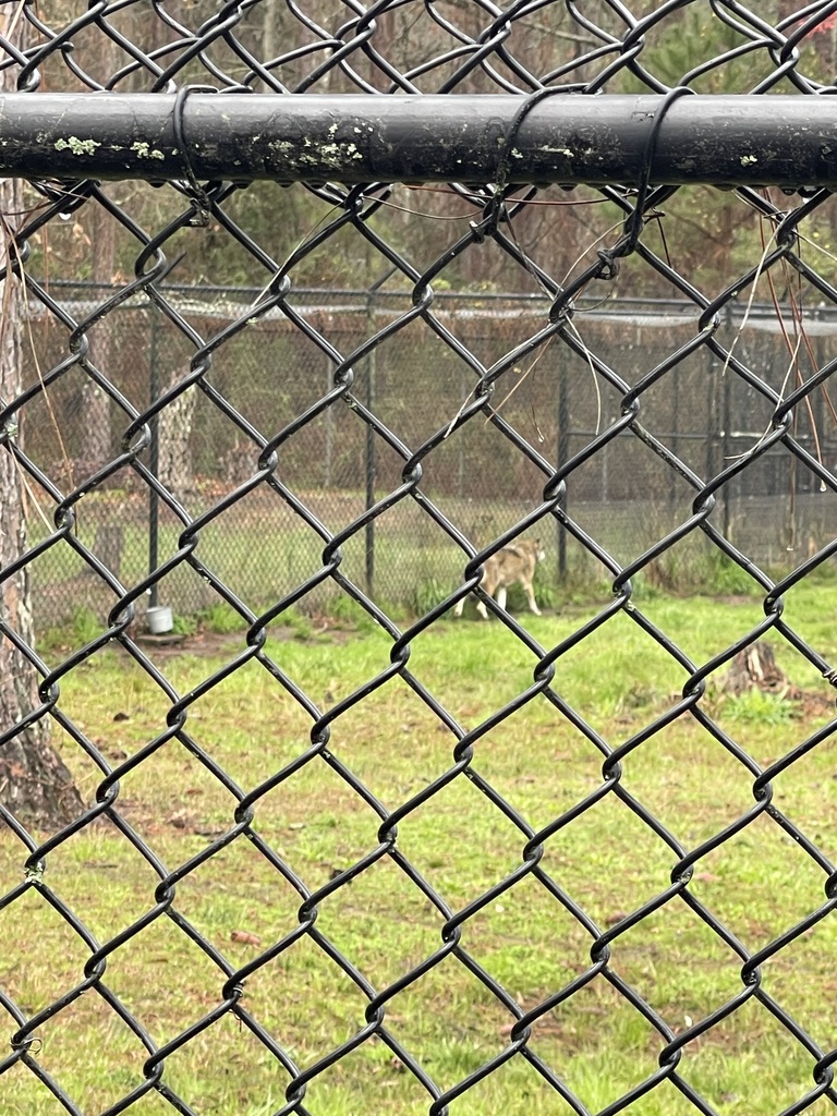 educational experience