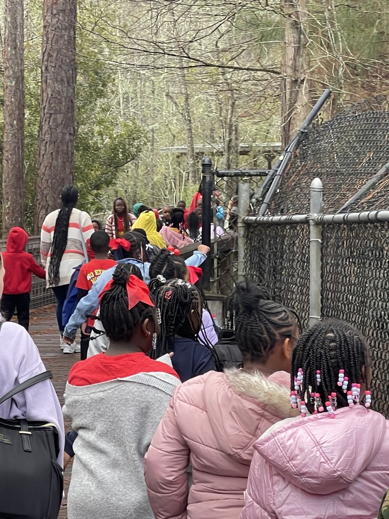 educational experience