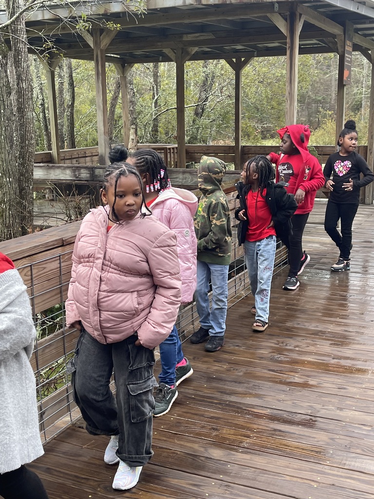 educational experience