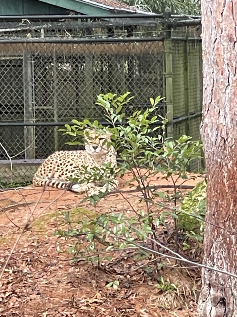 educational experience