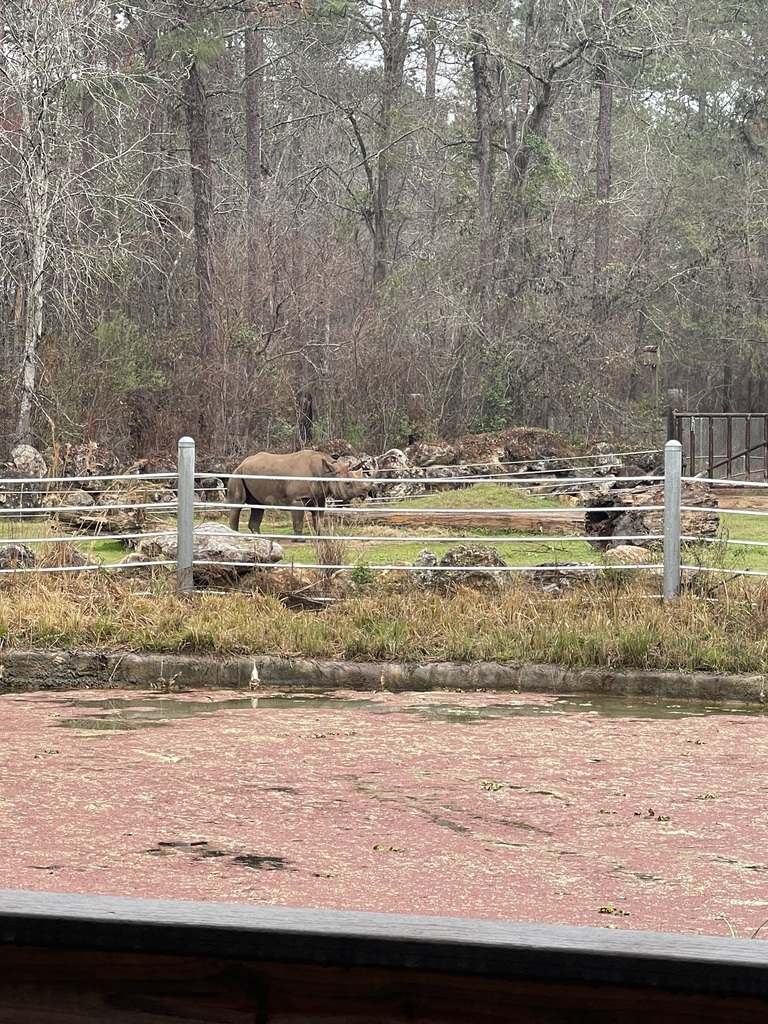 educational experience