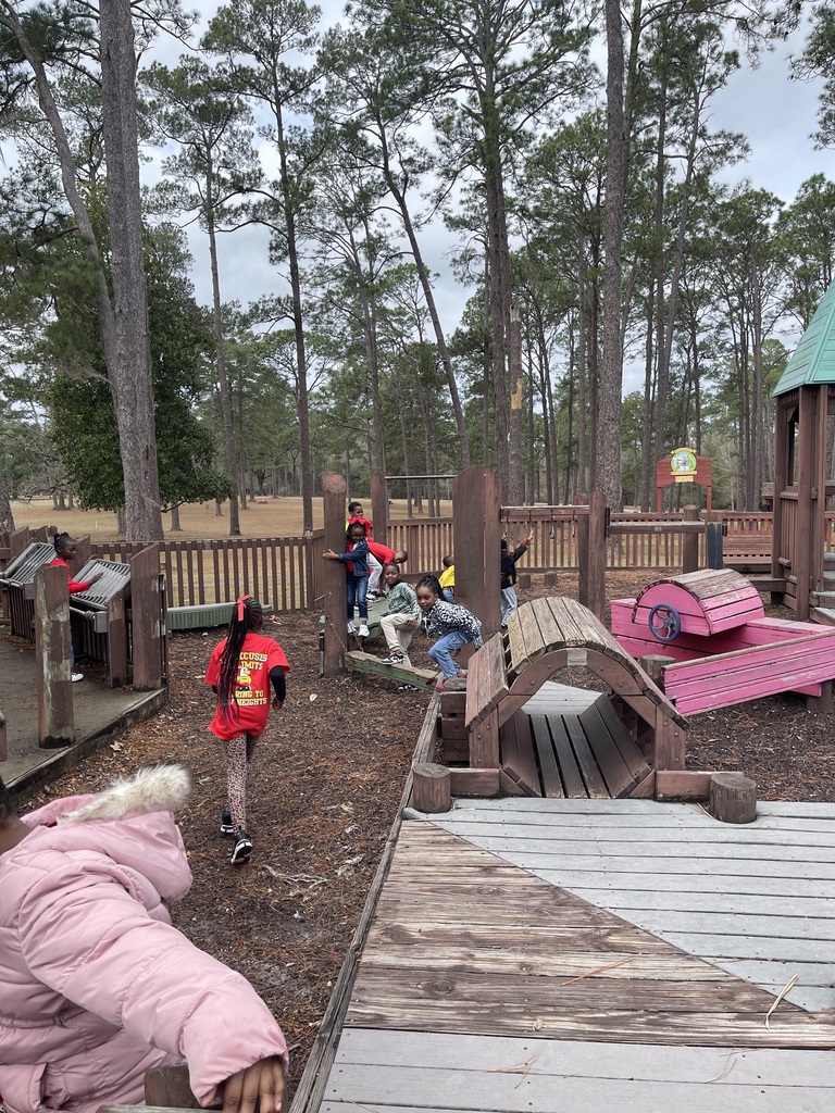 educational experience