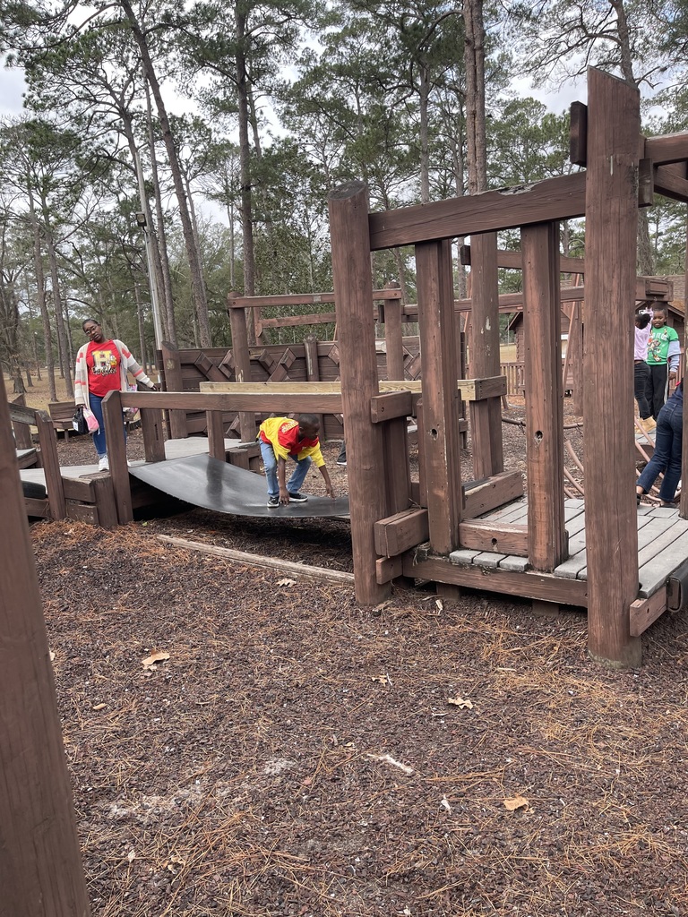 educational experience