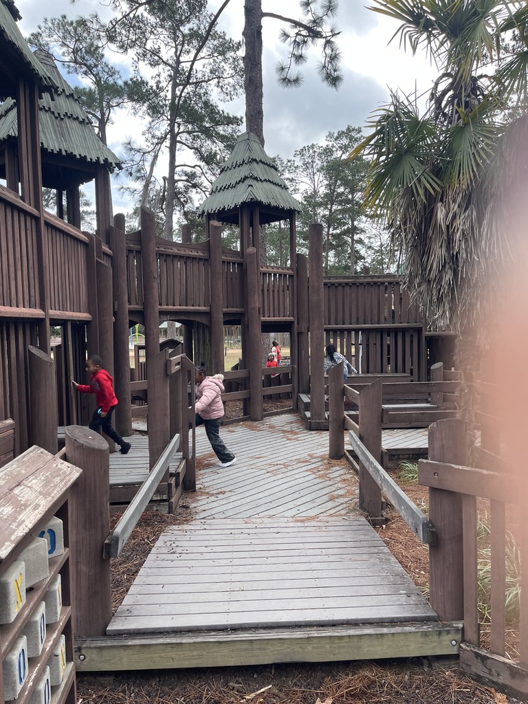 educational experience