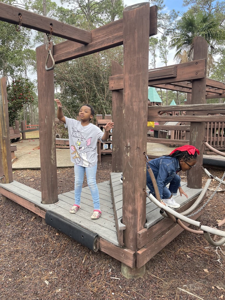 educational experience