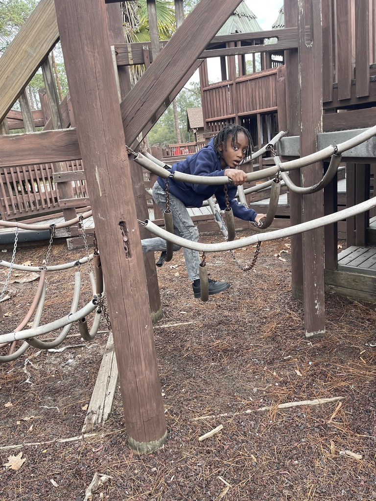 educational experience