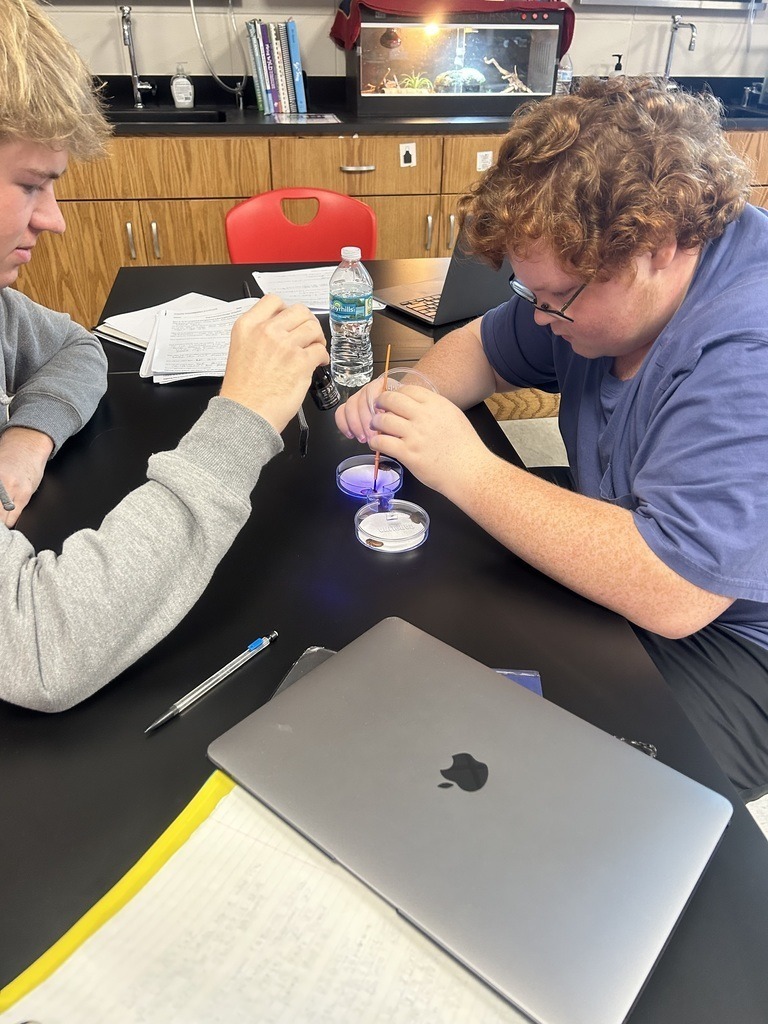 THS/SA AP Bio Animal Behavior Lab 3