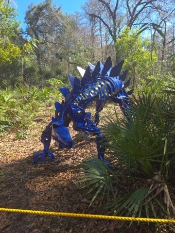 educational experience