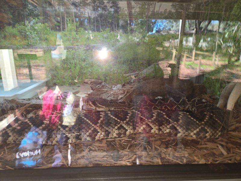 educational experience