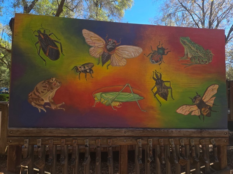 educational experience