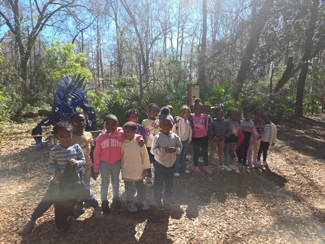 educational experience