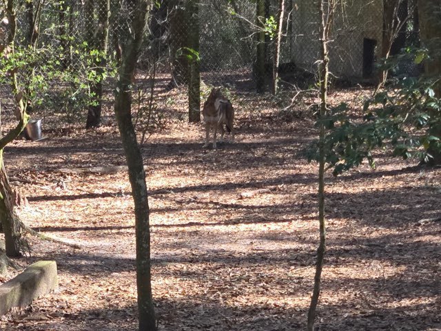 educational experience