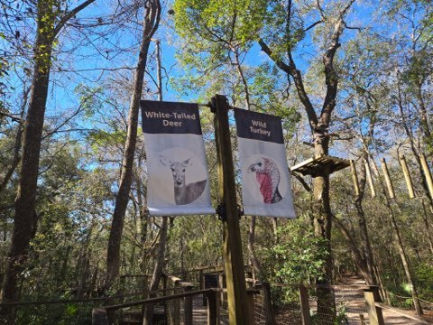 educational experience