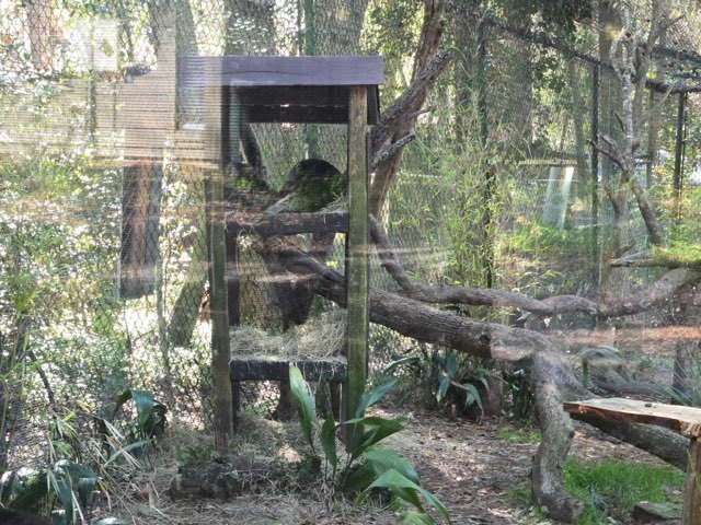 educational experience