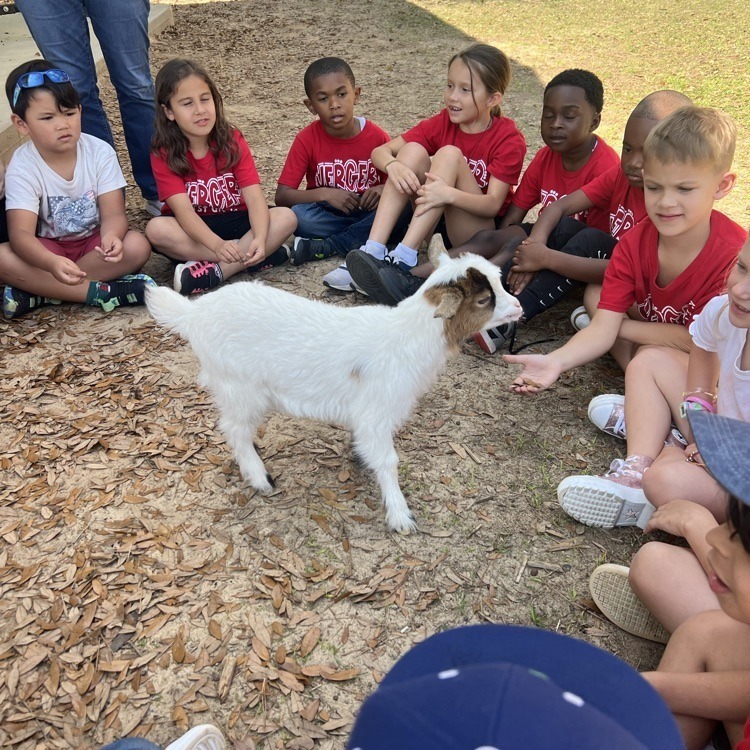 JES 1st grade GOATs Phonics 2
