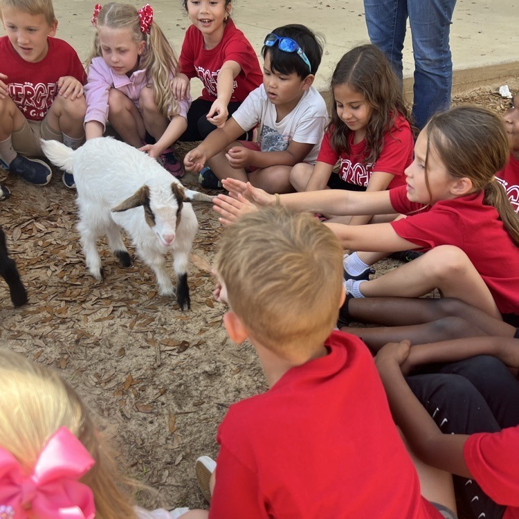 JES 1st grade GOATs Phonics 5