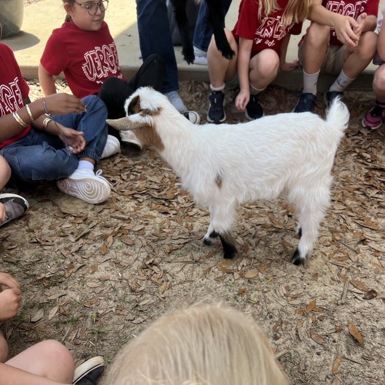 JES 1st grade GOATs Phonics 1