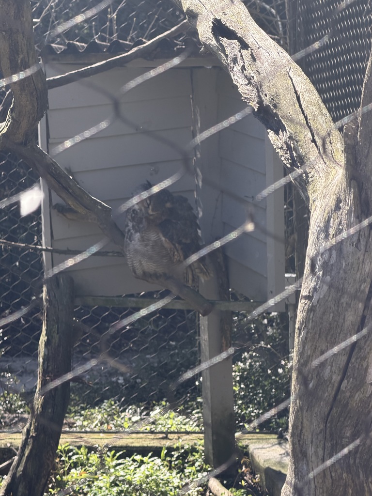 educational experience