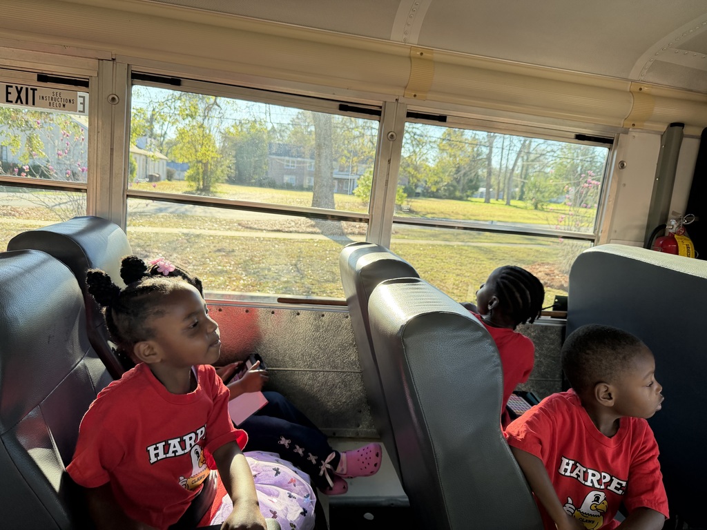 educational experience