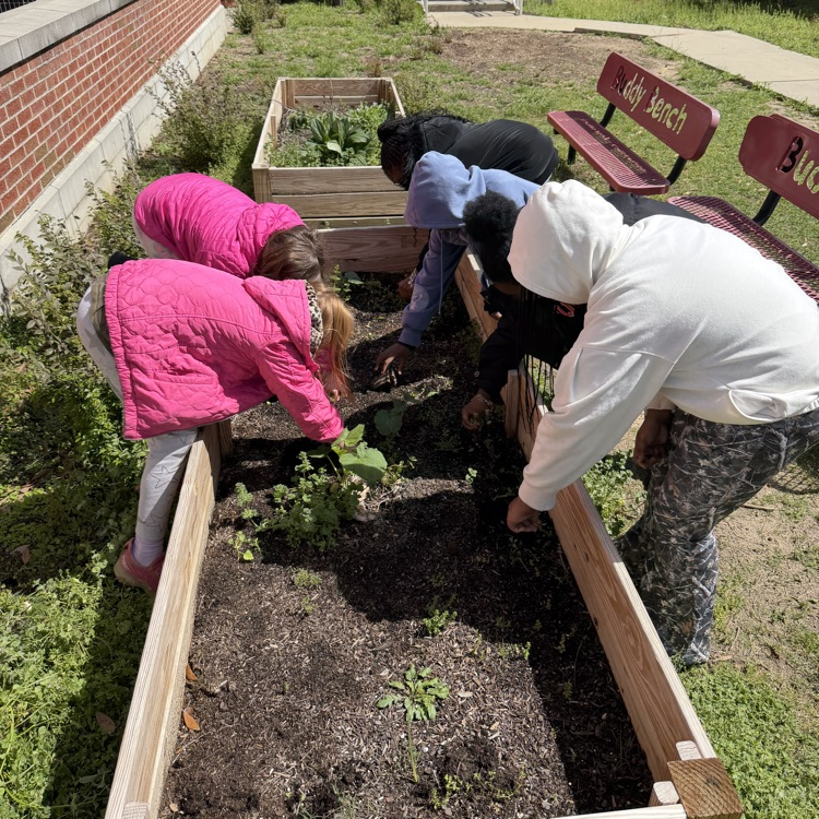 Fourth Grade Flower Bed 