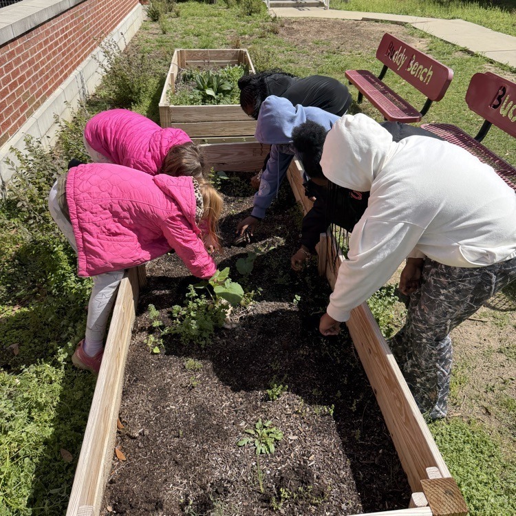 JES 4th grade spring garden 1