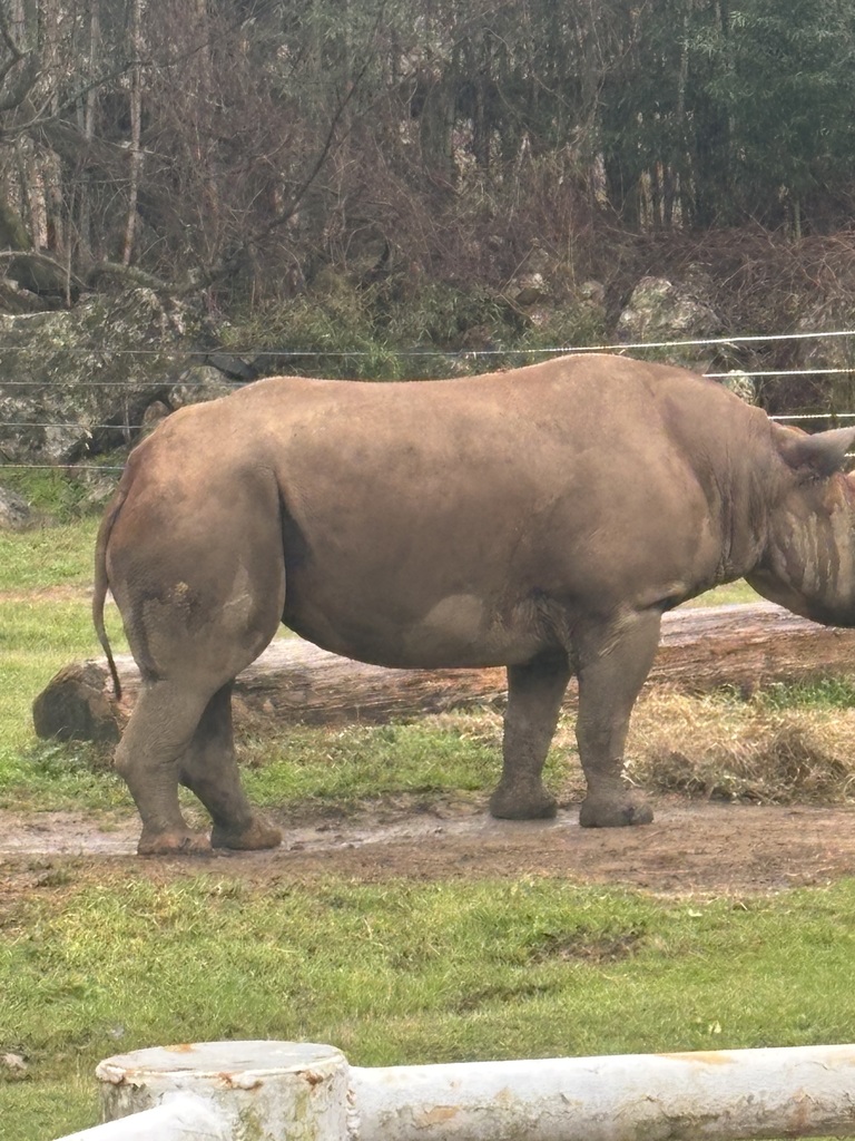 educational experience