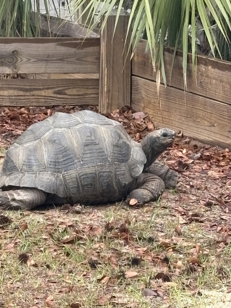 educational experience