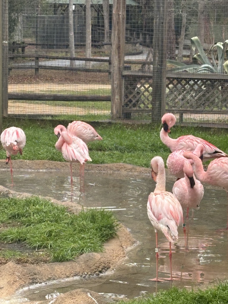 educational experience